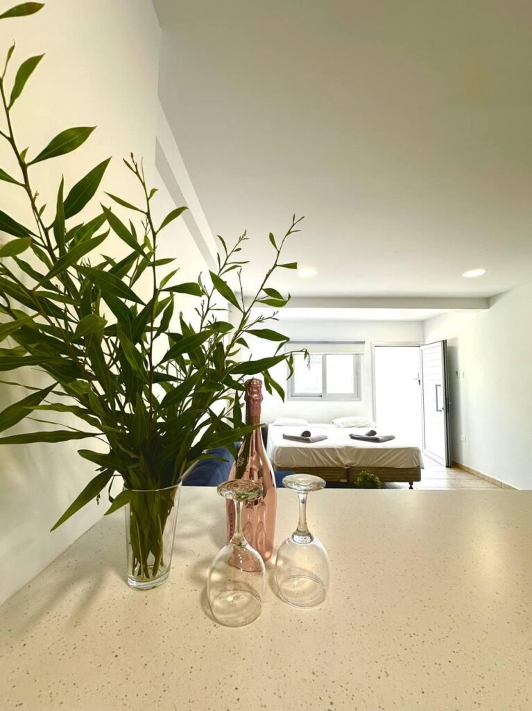 Serene Napa Suites – Studio